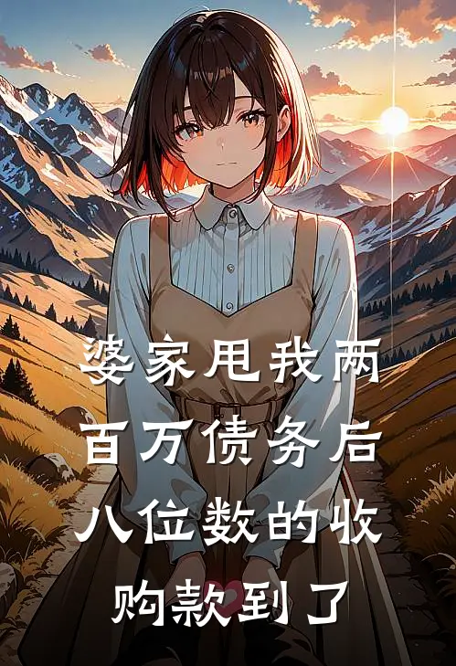 婆家甩我两百万债务后，八位数的收购款到了